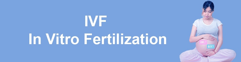 IVF In Vitro Fertilization