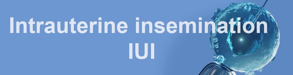 IntraUterine Insemination (IUI)